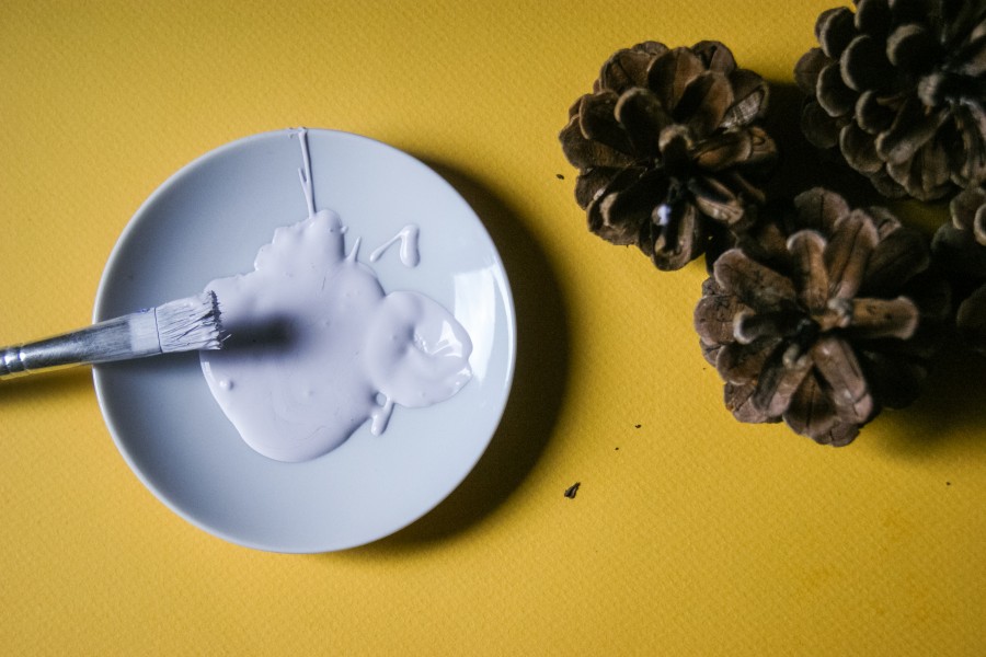 diy pommes de pin colorées