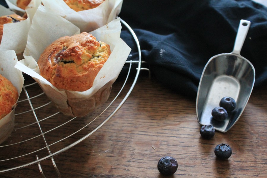 blueberry muffins