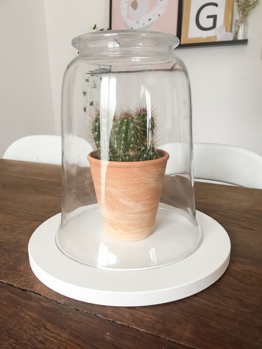 DIY CLOCHE EN VERRE