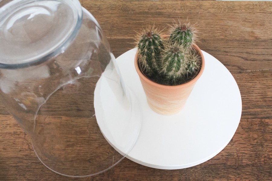 DIY CLOCHE EN VERRE