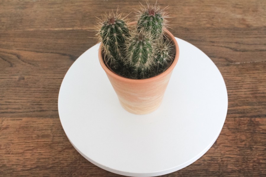 DIY CLOCHE EN VERRE
