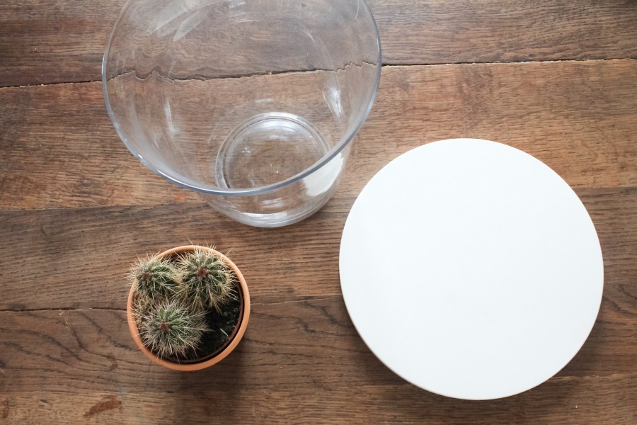 DIY CLOCHE EN VERRE