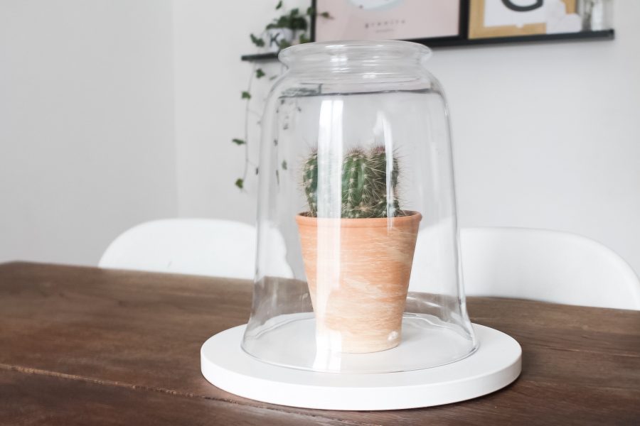 DIY CLOCHE EN VERRE