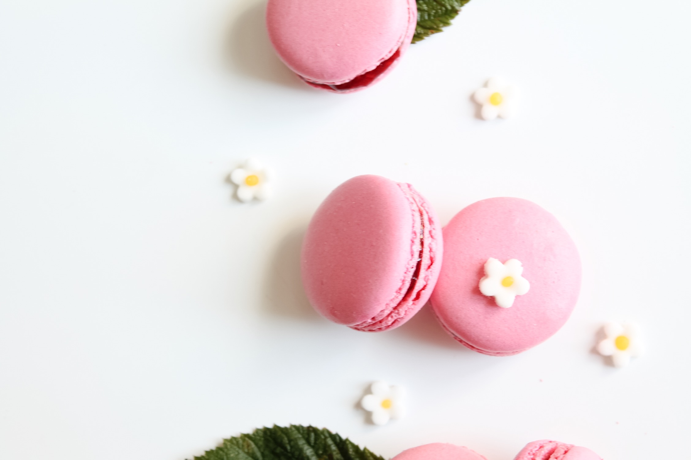 Framboise : écrin rouge de 8 macarons