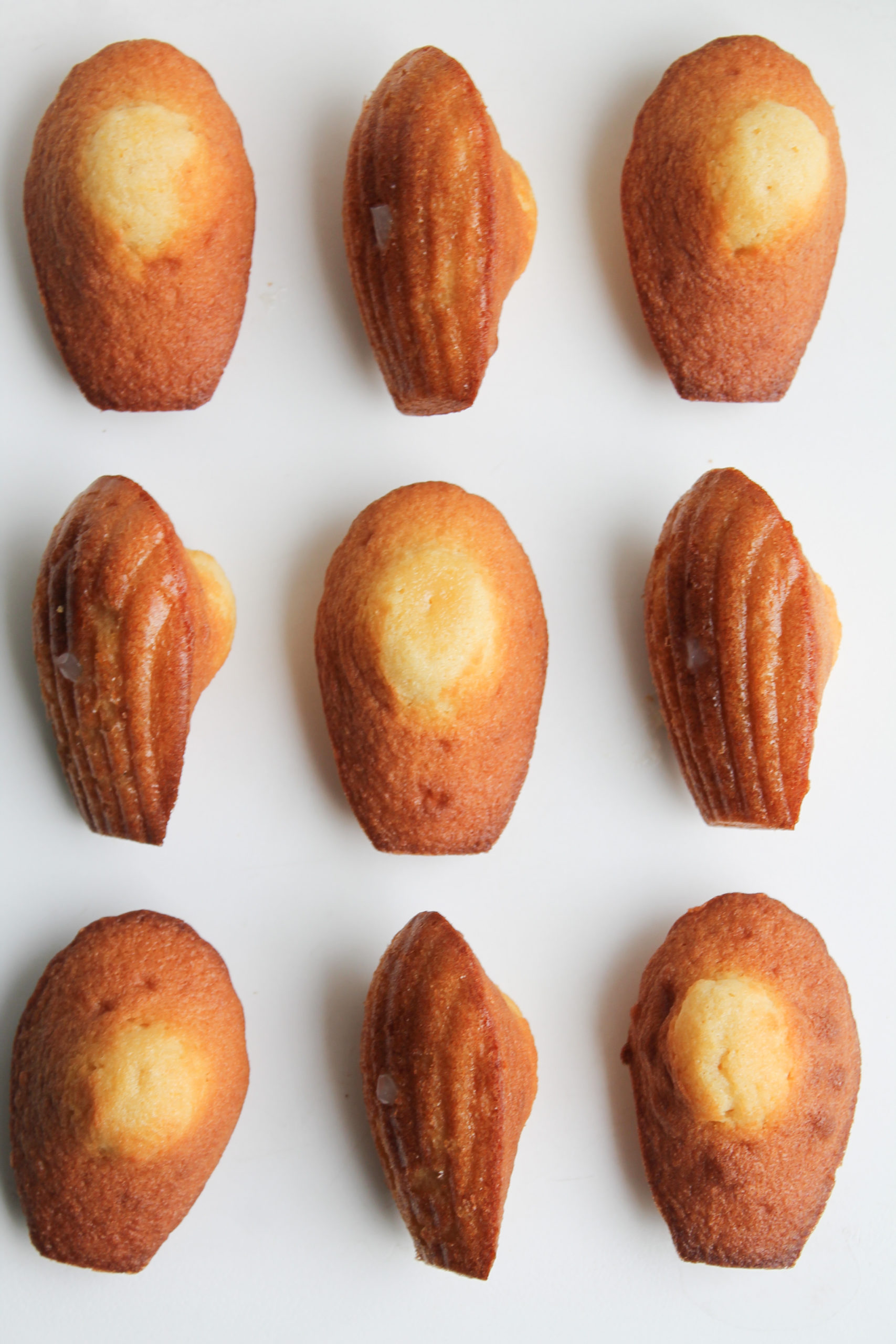 Madeleines au citron : Recette de Madeleines au citron