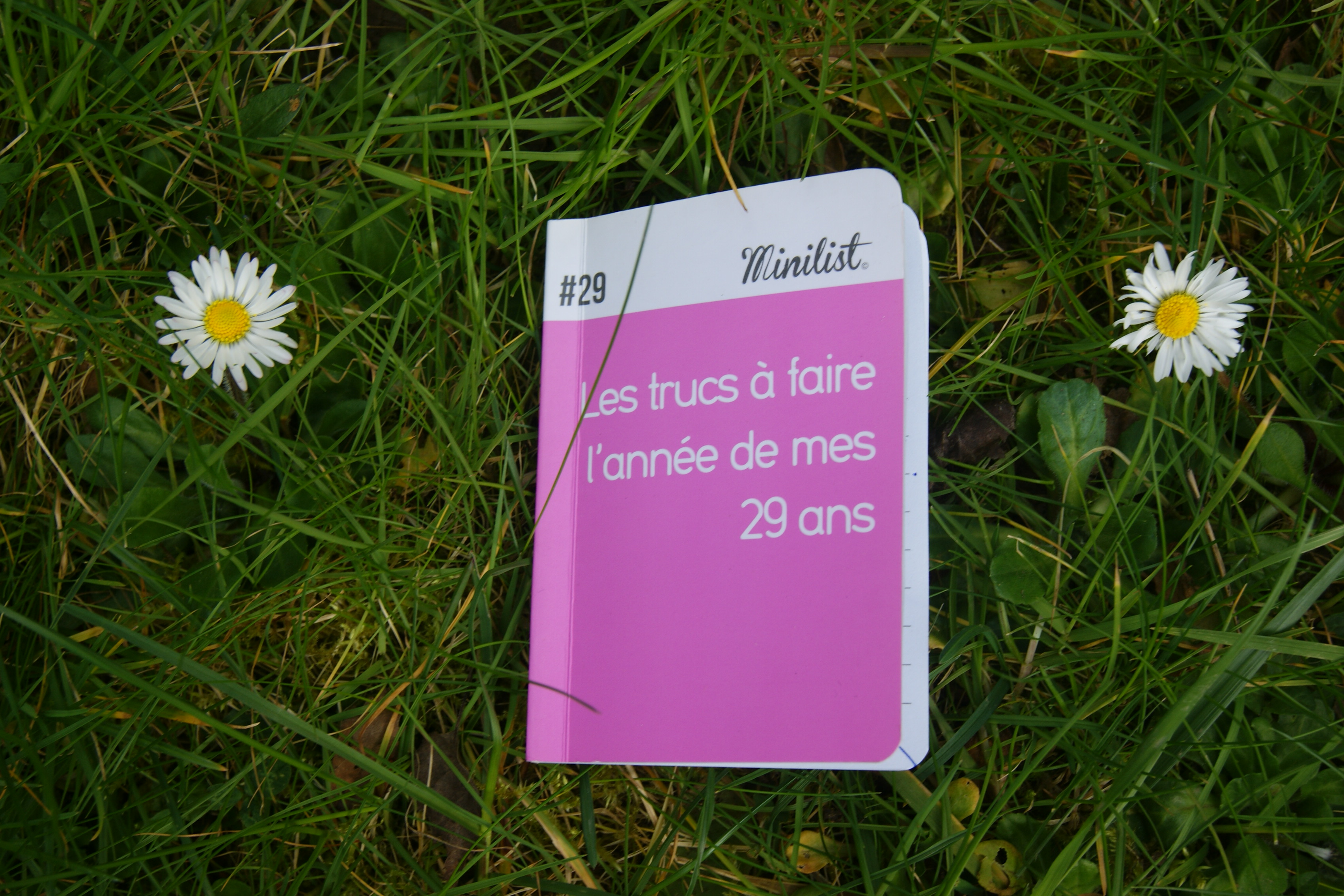 LES TRUCS A FAIRE L’ANNÉE DE MES 29 ANS