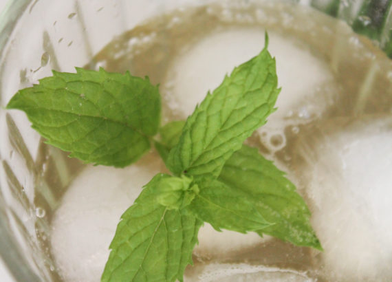 sirop de menthe maison recette